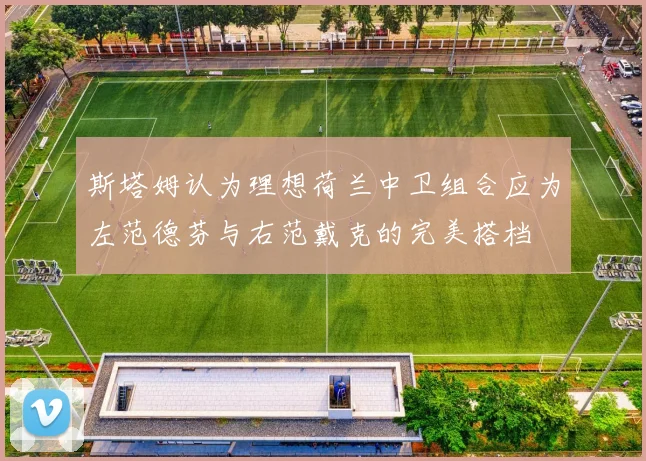 斯塔姆认为理想荷兰中卫组合应为左范德芬与右范戴克的完美搭档