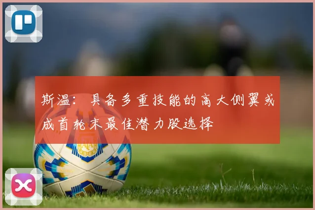 斯温：具备多重技能的高大侧翼或成首轮末最佳潜力股选择