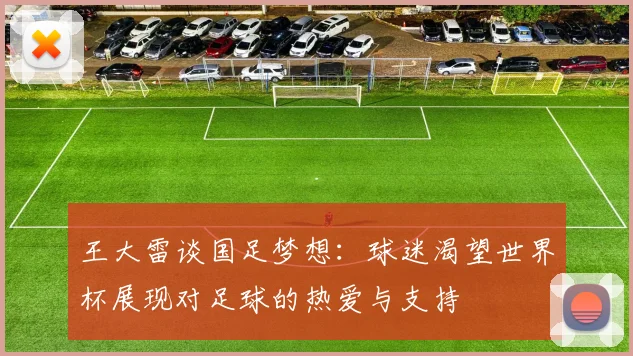 王大雷谈国足梦想：球迷渴望世界杯展现对足球的热爱与支持