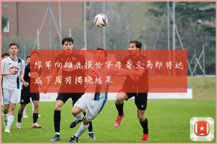 绿军向雄鹿报价字母哥交易即将达成下周将揭晓结果