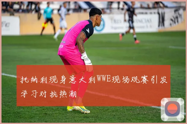 托纳利现身意大利WWE现场观赛引发学习对抗热潮