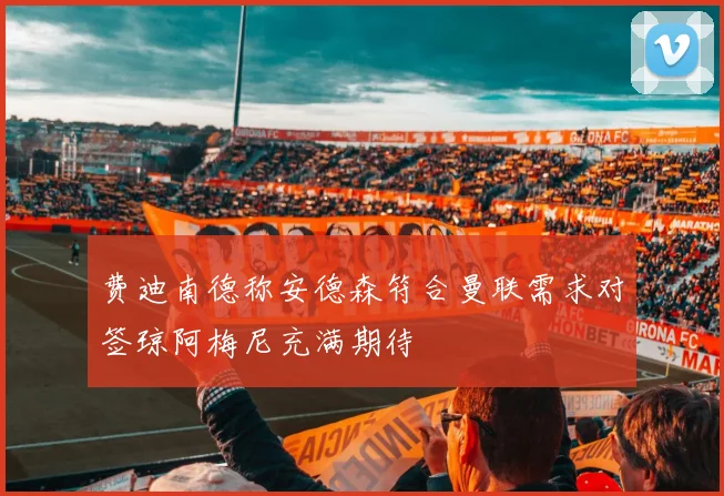 费迪南德称安德森符合曼联需求对签琼阿梅尼充满期待