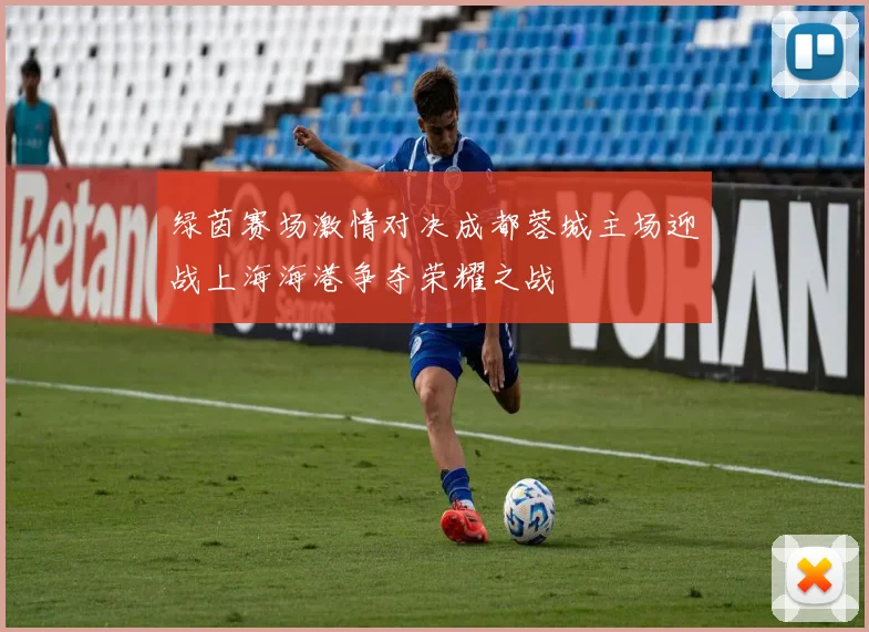 绿茵赛场激情对决成都蓉城主场迎战上海海港争夺荣耀之战