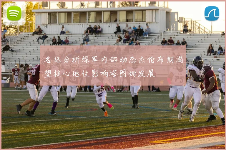 名记分析绿军内部动态杰伦布朗渴望核心地位影响塔图姆发展